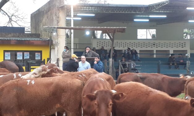 Gonzalito en la Rural: La demanda no para