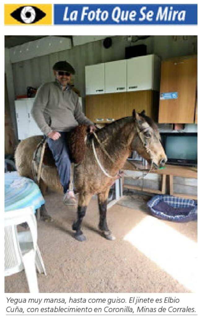 IMAGEN DE LA FOTO QUE SE MIRA, UN HOMBRE A CABALLO EN UNA PETISA DENTRO DE SU CASA 