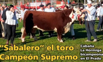 Palenque Rural: «Sabalero» el toro campeón