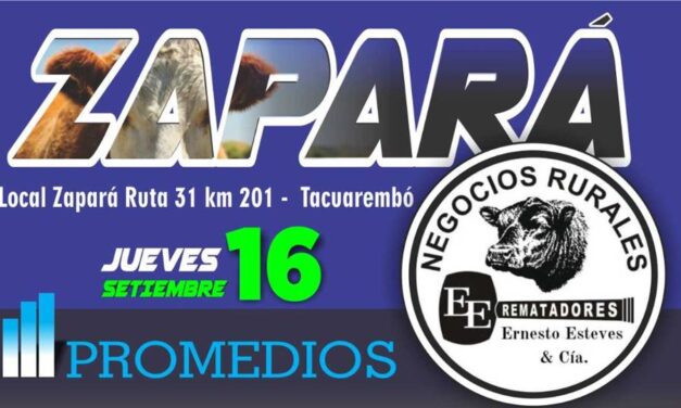 Remate Zapará: la vaca de invernada voló