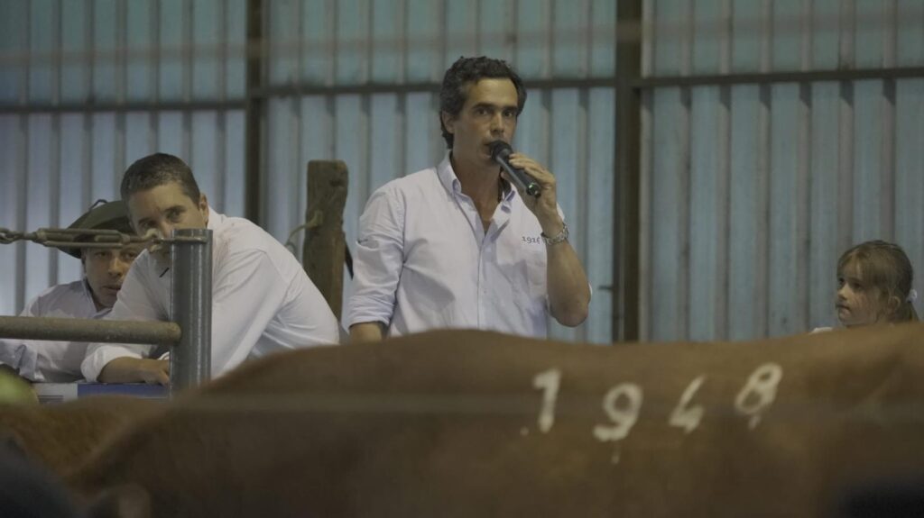 imagen de alejandro nuñez rematando los toros de santa clotilde: calidad de punta a punta 