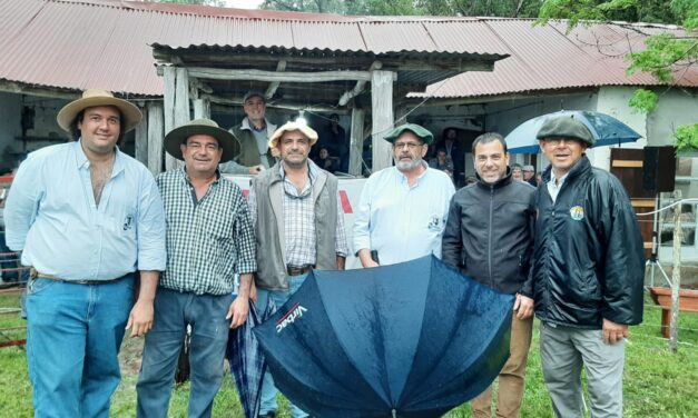 Zapará: Venta total con valores en ascenso