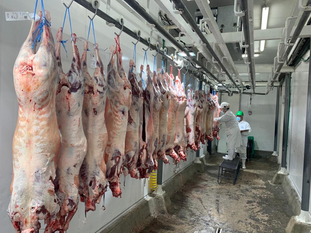 IMAGEN DE FAENA DE LANARES 