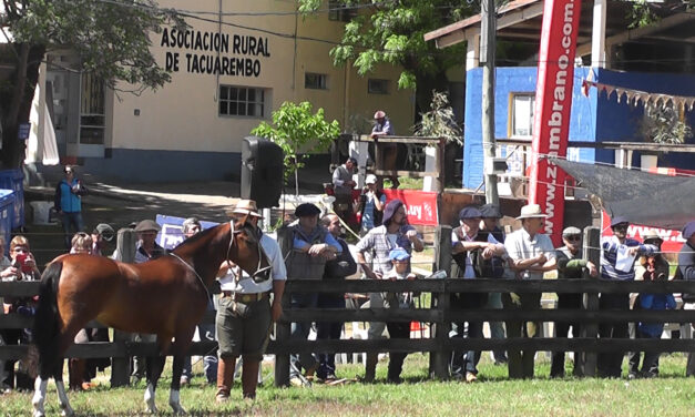Programa Expo Tacuarembó 2021