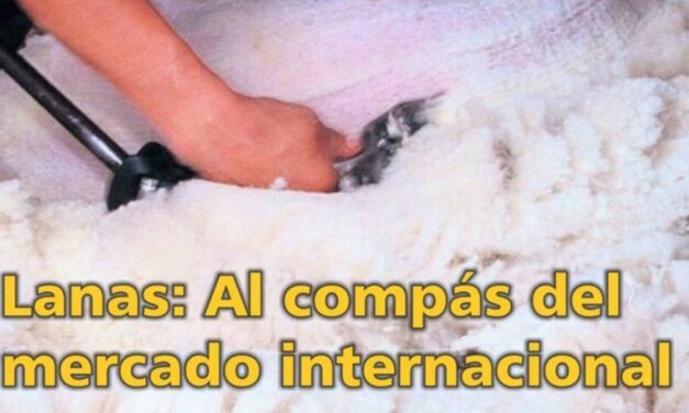 Palenque Rural: Lanas al compás del mercado