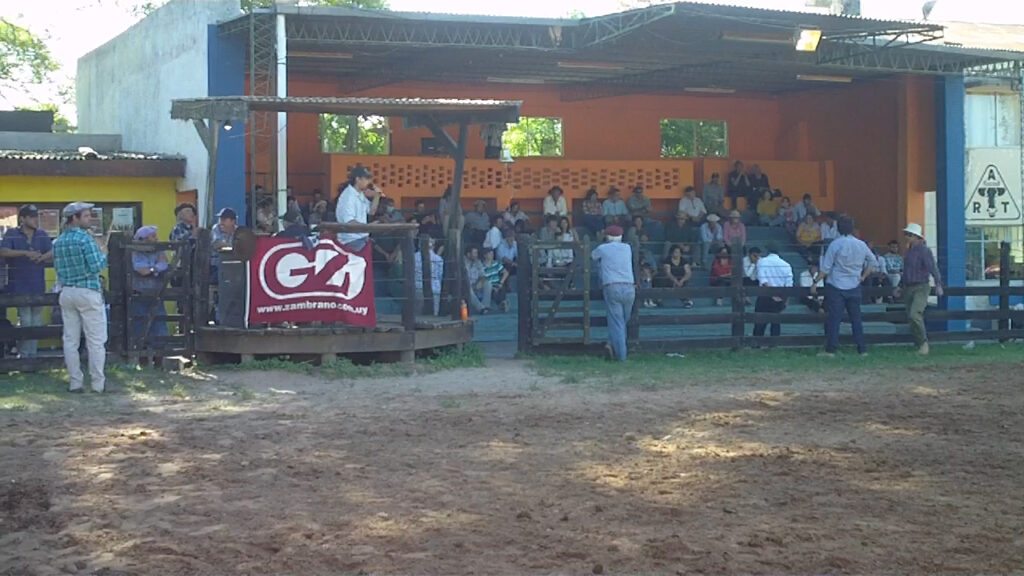 imagen de mauricio digenova rematando yeguarizos en la rural de tacuarembó