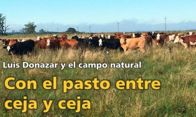 Palenque Rural: con el pasto entre ceja y ceja