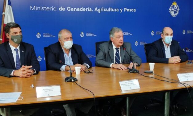 Erradicación de la bichera