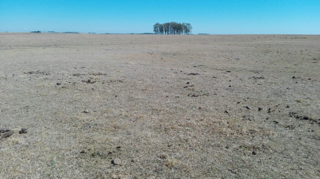 imagen de campo con sequía