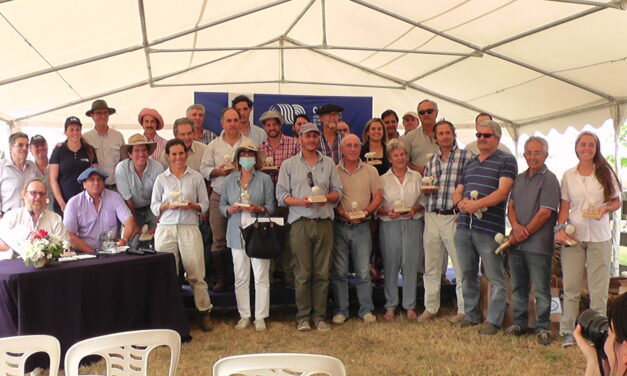 CRILU: 12ª Entrega de carneros en Glencoe