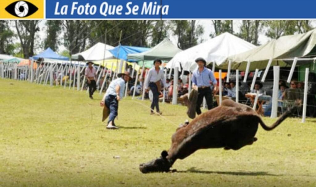 LA FOTO QUE SE MIRA: GAUCHO PIALANDO UN VACUNO