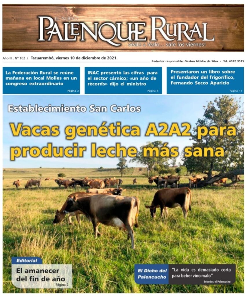 IMAGEN DE LA TAPA DE EL PALENQUE RURAL: VACAS JERSEY GENÉTICA A2A2 PARA PRODUCIR LECHE MÁS SANA