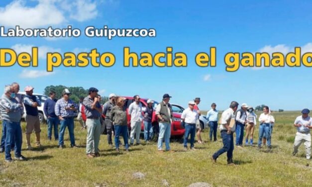 Palenque Rural: del pasto hacia el ganado