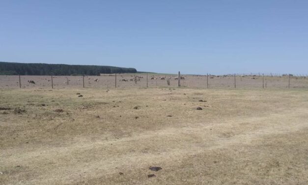 Aportación Rural: prórroga de vencimientos
