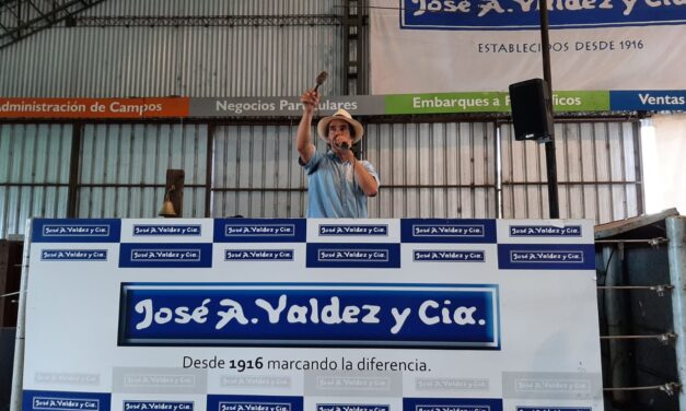 Destacada venta en Don Tito