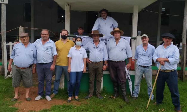 Curtina Espectacular: promedio de U$S 525