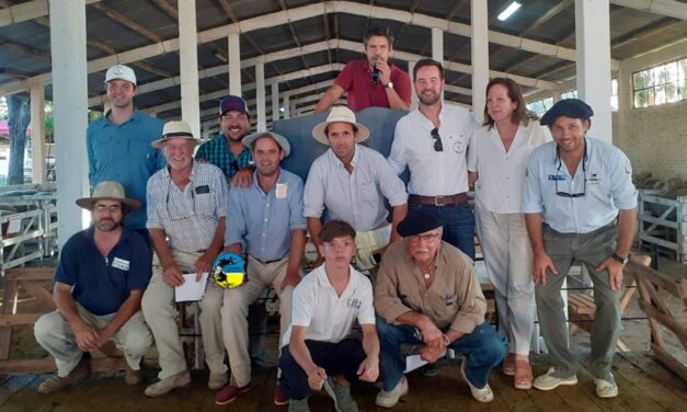 Remate Más Carne Más Lana 2022