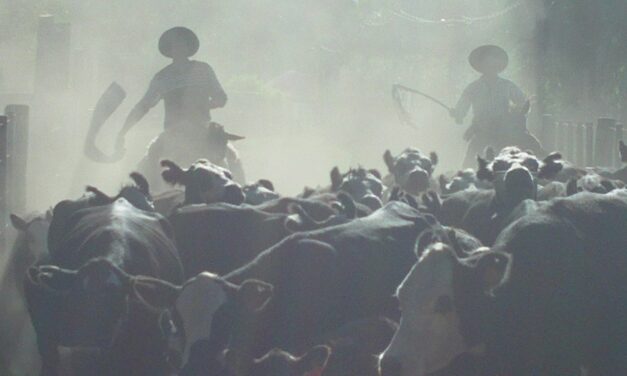 Mercado de haciendas a todo vapor