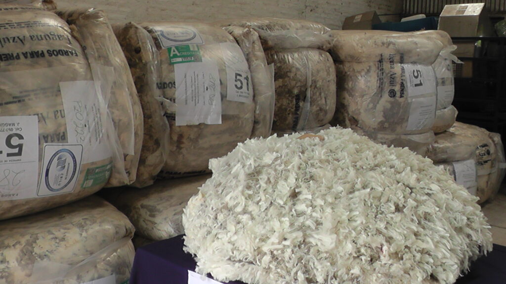 imagen de lanas, se vendieron 12.000 kg. lana merino