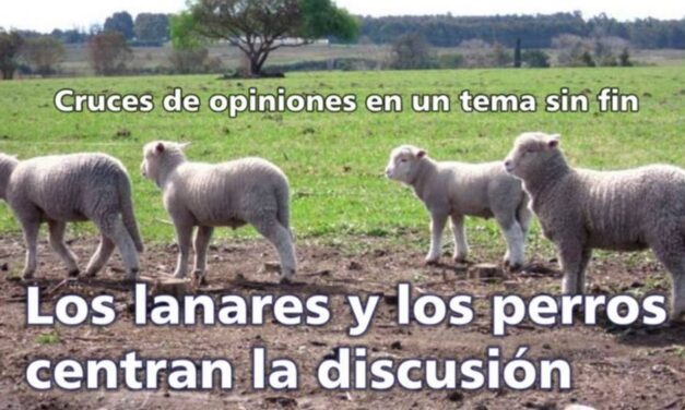 Palenque Rural: Lanares y Perros