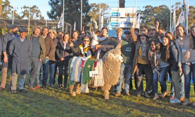 San Gerardo: Sangre de campeones