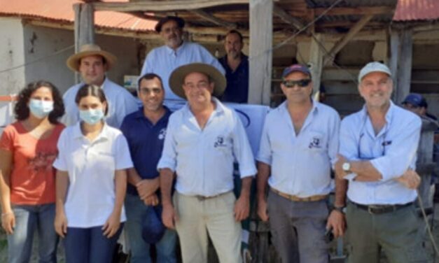 Zapará: Buen remate por donde se lo mire