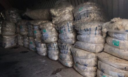Lanas: hubo negocios con la tónica de esta zafra