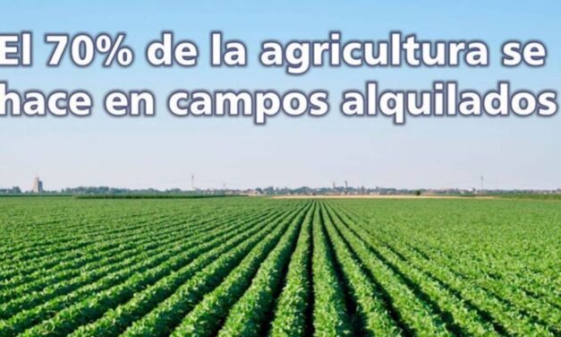Palenque Rural: Agricultura