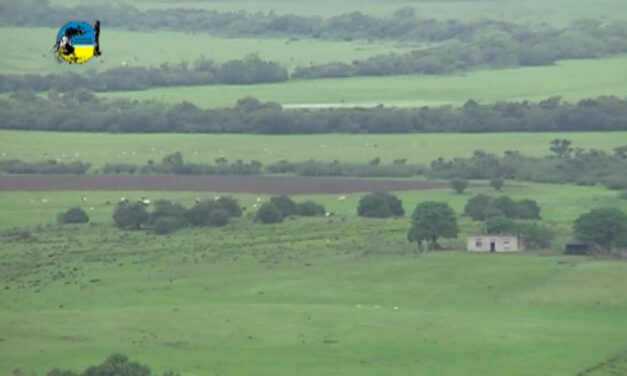 Compraventas de tierras Año 2021