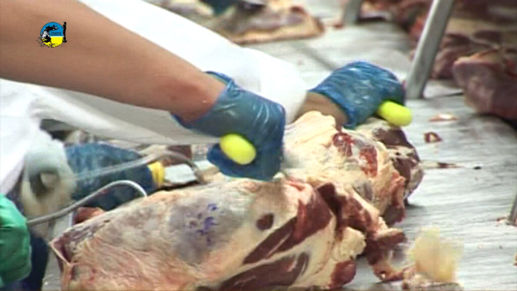 imagen de carne vacuna alcanzó los U$S 5.007 la tonelada 