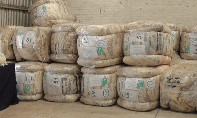 Indicador de Mercados del Este cerró al alza