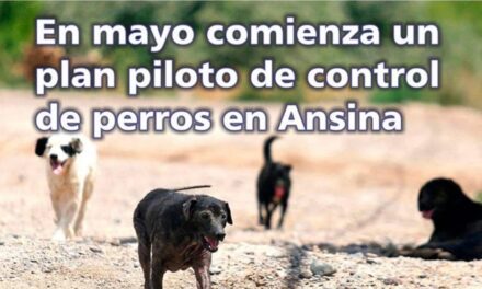 Palenque Rural: control de perros