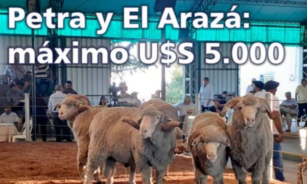 Palenque Rural: El Arazá y Petra