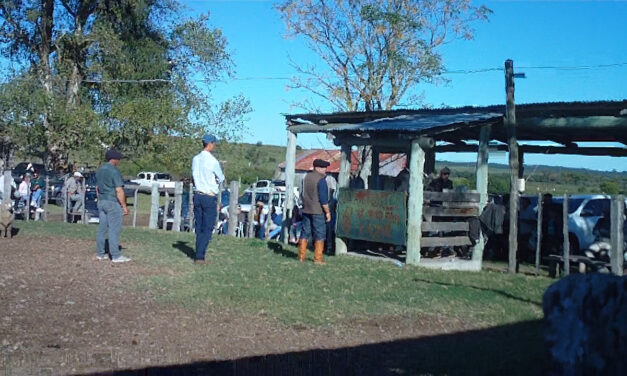 La Sebiana: Mercado ágil