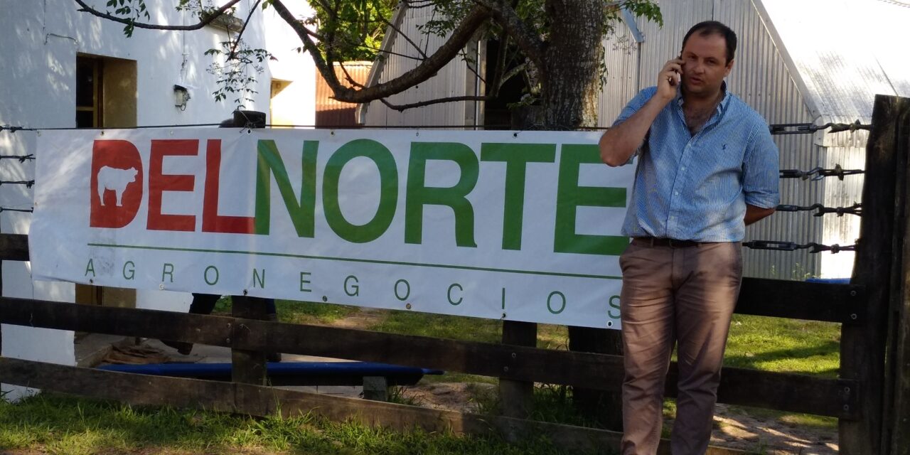 Se exportaran 15 mil vaquillonas a China