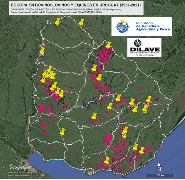 imagen del mapa de uruguay donde el mgap alerta casos de intoxicación en ganado 