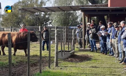 CABA: Centro Argentino de Biotecnología Animal