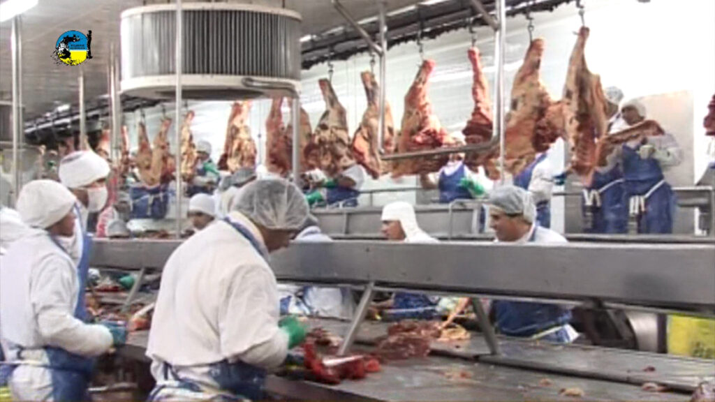 imagen de la faena bovina fue 6% inferior