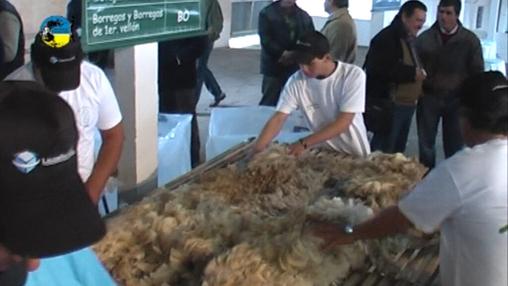 imagen de lanas, IME SE UBICÓ EN U$S 1.004 CENTAVOS 