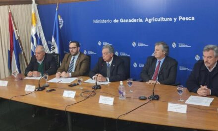 Ministro Mattos informó sobre importar carne