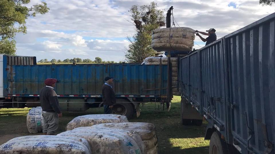imagen cargando fardos de lana, IME RETROCEDIÓ 7 CENTAVOS 