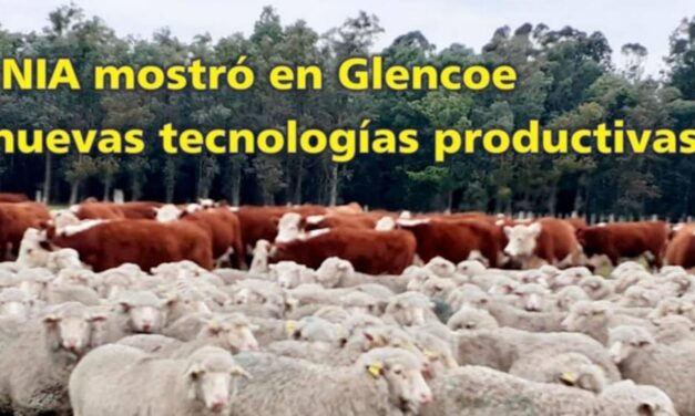 Palenque Rural: INIA mostró tecnologías