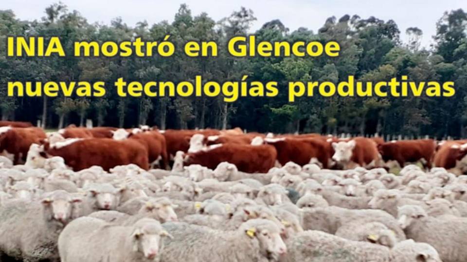 Palenque Rural: INIA mostró tecnologías