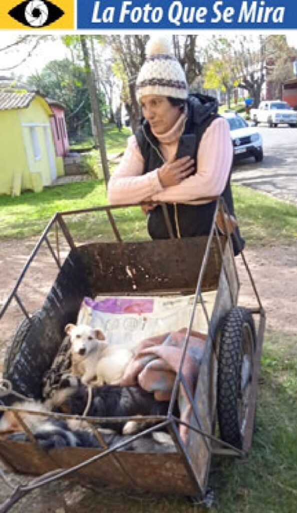 IMAGEN DE SEÑORA CON UN CARRITO Y SUS PERROS DENTRO 