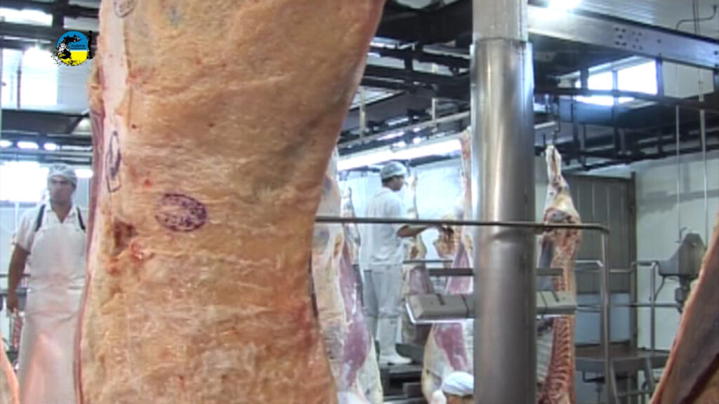IMAGEN DE FAENA BOVINA FUE 21% SUPERIOR