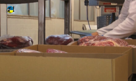 Minerva Foods: envía carne vacuna a Canadá
