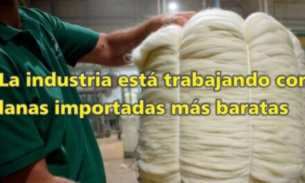 Palenque Rural: lanas importadas más baratas