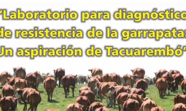 Palenque Rural: laboratorio para garrapata