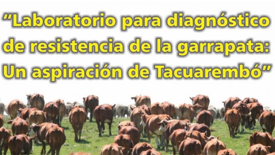 Palenque Rural: laboratorio para garrapata