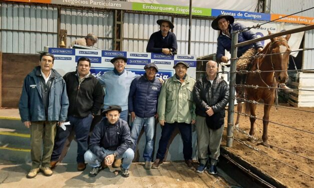 Valdez dispersó 1.038 vacunos en Don Tito